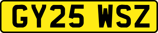 GY25WSZ