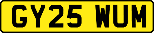 GY25WUM