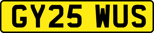 GY25WUS