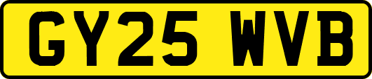GY25WVB
