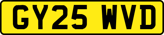 GY25WVD