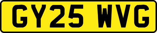 GY25WVG