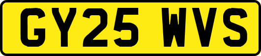 GY25WVS