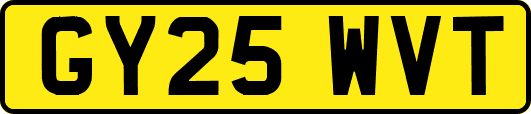 GY25WVT
