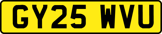 GY25WVU