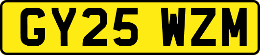 GY25WZM