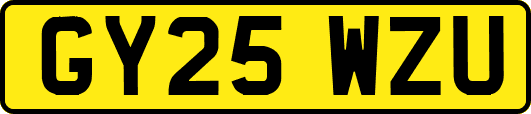 GY25WZU