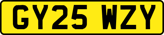 GY25WZY