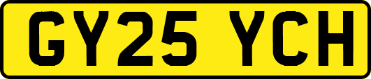 GY25YCH