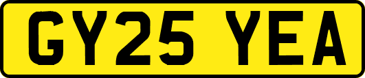 GY25YEA