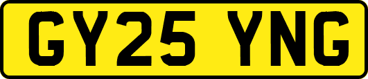 GY25YNG