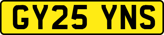 GY25YNS