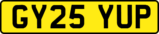 GY25YUP