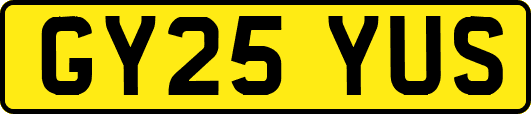 GY25YUS