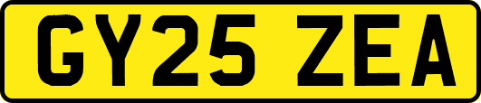 GY25ZEA