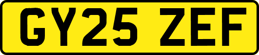 GY25ZEF