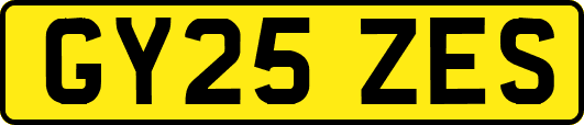 GY25ZES