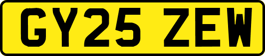 GY25ZEW