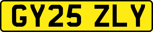 GY25ZLY