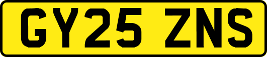 GY25ZNS