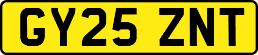 GY25ZNT