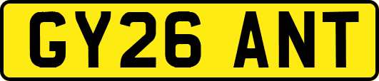 GY26ANT