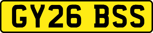 GY26BSS