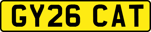 GY26CAT