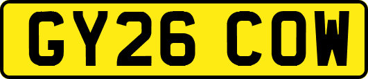 GY26COW