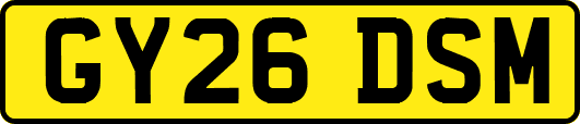 GY26DSM