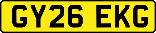 GY26EKG