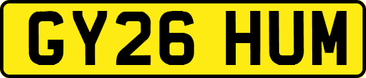 GY26HUM