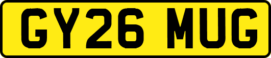 GY26MUG