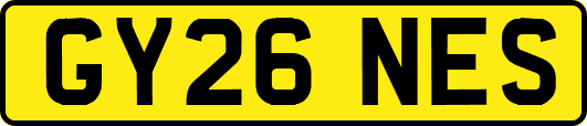 GY26NES