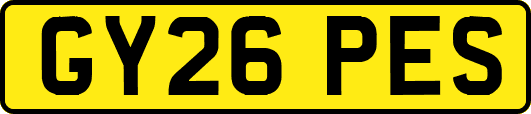 GY26PES