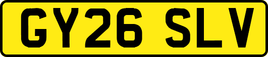 GY26SLV