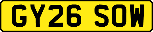 GY26SOW