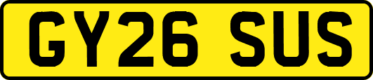 GY26SUS