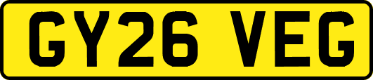 GY26VEG