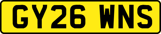 GY26WNS