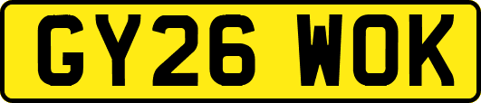 GY26WOK