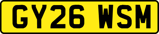 GY26WSM