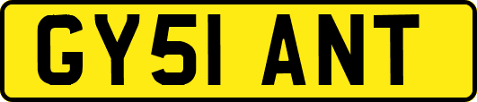 GY51ANT