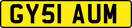 GY51AUM