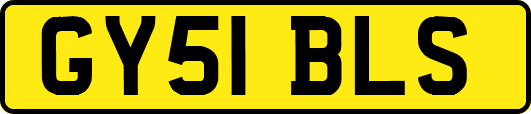 GY51BLS