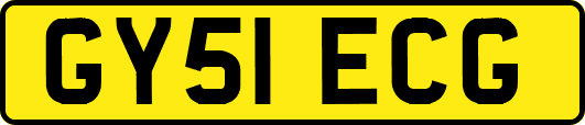 GY51ECG