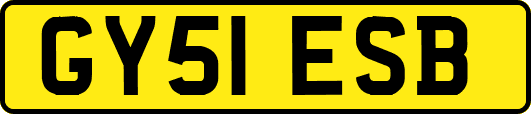 GY51ESB