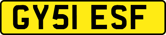 GY51ESF