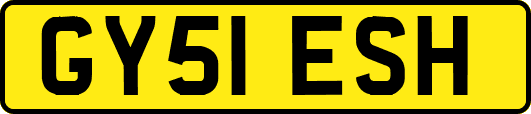 GY51ESH