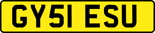 GY51ESU